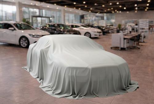 Fundas para tapar coches